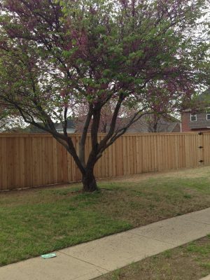 482080978_1209186821214006_5544072804123155387_n